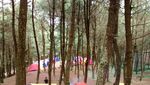 Yuk Coba Kemping Seru di Gunung Bunder, Bogor