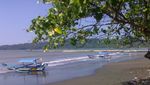 Yuk! Jalan-jalan ke Teluk Penyu di Cilacap