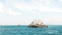 Keranda ikan milik nelayan di lautan Pulau Peucang.