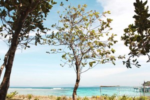 Yuk ke Banten, Ada Pulau Peucang yang Perawan
