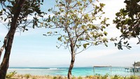 Pemandangan langit biru di Pulau Peucang ditemanin dengan banyaknya pohon yang asri.