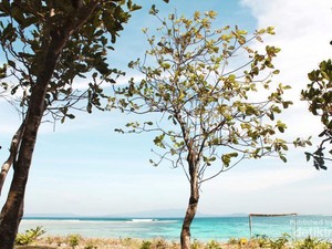 Yuk ke Banten, Ada Pulau Peucang yang Perawan