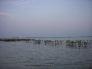 Yuk! Liburan Bareng Keluarga di Kepulauan Seribu