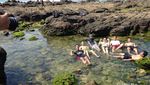 Yuk Liburan ke Pantai Wediombo, Gunungkidul