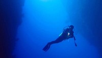 Menyelam di antara 2 tebing yang menjorok ke dasar laut