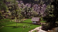 Suasana kampung naga (sumber: indonesia.travel)
