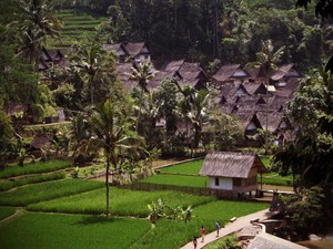 Yuk! Selami Budaya Lokal Kampung Naga di Tasikmalaya