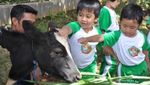 Yuk, Wisata Perah Susu Sapi di Bogor