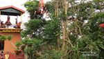 Zip Lining, Flying Fox Seru dari Filipina