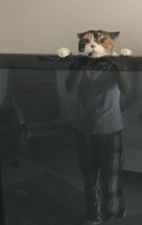 Foto yang Dimabil pada Waktu Tepat