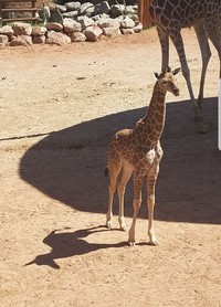 Foto yang Dimabil pada Waktu Tepat