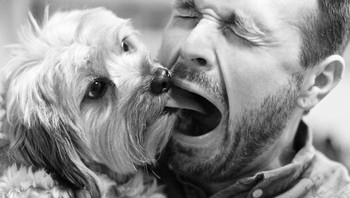 Duh! lidahnya digigit. Foto: Bored Panda