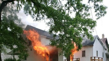 Kucing menyelamatkan diri dari rumah terbakar. Foto: Bored Panda