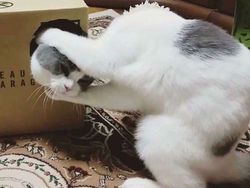 Foto yang Diambil Pada Waktu dan Angle Tepat, Hasilnya Bikin Tercengang