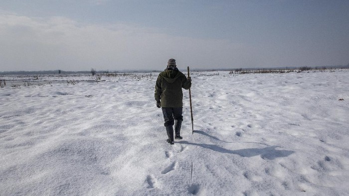 Ghulam Mohiuddin Dar, a wildlife official, walks over a swamp covered with frozen snow as he monitors movement of birds in Hokersar wetlands, north of Srinagar, Indian controlled Kashmir, Monday, Jan. 25, 2021. Wildlife officials have been feeding birds to prevent their starvation as weather conditions in the Himalayan region have deteriorated and hardships increased following two heavy spells of snowfall since December. Temperatures have plummeted up to minus 10-degree Celsius (14 degrees Fahrenheit). (AP Photo/Dar Yasin)