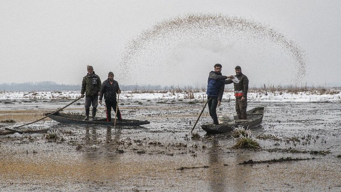 India Kashmir Feeding Birds Photo Gallery Migratory birds fly above the frozen waters of a wetland in Hokersar, north of Srinagar, Indian controlled Kashmir, Friday, Jan. 22, 2021. Wildlife officials have been feeding birds to prevent their starvation as weather conditions in the Himalayan region have deteriorated and hardships increased following two heavy spells of snowfall since December. Temperatures have plummeted up to minus 10-degree Celsius (14 degrees Fahrenheit). (AP Photo/Dar Yasin)