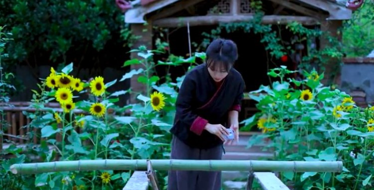 Li Ziqi Li Ziqi