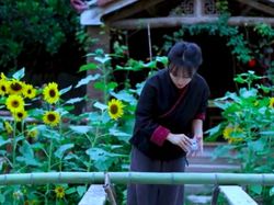 Misteri Hilangnya YouTuber China Li Ziqi yang Pecahkan Rekor Dunia