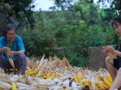 Misteri Hilangnya YouTuber China Li Ziqi yang Pecahkan Rekor Dunia