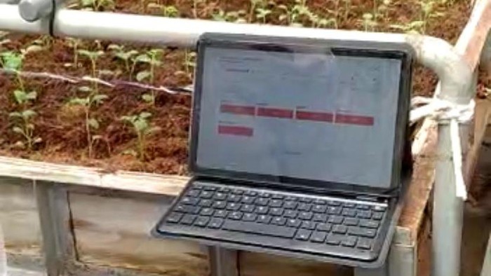 Manfaatkan teknologi dalam pengembangan benih kentang.