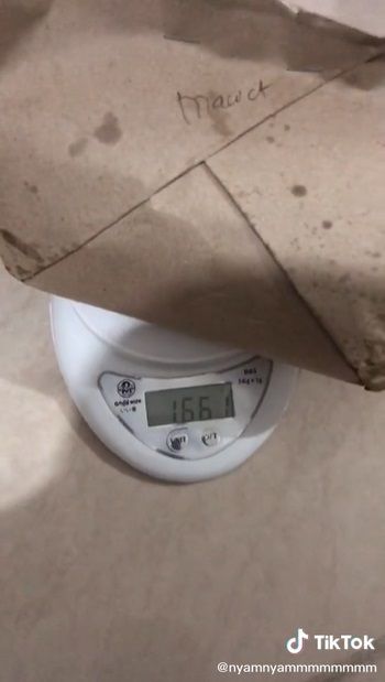 nasi goreng 1,6 kilogram harganya cuma rp 30 ribuan