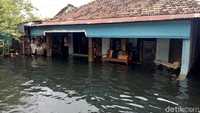 Banjir yang merendam kawasan Kudus, Jawa Tengah, dikeluhkan warga. Pasalnya tak sedikit warga yang mengalami gatal-gatal serta kesulitan untuk mengakses air dari sumur karena banjir yang berwarna hitam dan berbau menyengat merendam tempat tinggal mereka. Dian Utoro Aji/detikcom  