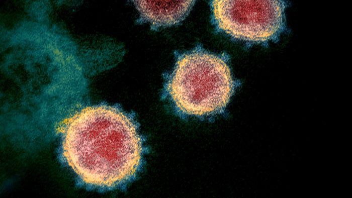 Sejumlah Jenis Baru Virus Corona Mengkhawatirkan Tapi Para Pakar Optimis