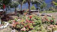 Di perbatasan RI-PNG, traveler dapat melintasi batas ke Papua Nugini tanpa paspor, tetapi hanya beberapa meter saja, sampai sebatas lokasi spot selfie ini. Di perbatasan, traveler juga dapat menikmati kuliner khas Papua Nugini. (Hari Suroto/Istimewa)