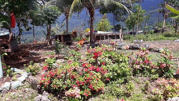 Di perbatasan RI-PNG, traveler dapat melintasi batas ke Papua Nugini tanpa paspor, tetapi hanya beberapa meter saja, sampai sebatas lokasi spot selfie ini. Di perbatasan, traveler juga dapat menikmati kuliner khas Papua Nugini. (Hari Suroto/Istimewa) Di perbatasan RI-PNG, traveler dapat melintasi batas ke Papua Nugini tanpa paspor, tetapi hanya beberapa meter saja, sampai sebatas lokasi spot selfie ini. Di perbatasan, traveler juga dapat menikmati kuliner khas Papua Nugini. (Hari Suroto/Istimewa)
