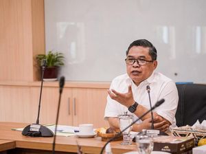 KLHK Paparkan Rencana Pemulihan Lingkungan Pascabanjir Kalsel