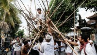 Tolak bala Mekotek yang dilakukan warga Desa Munggu, Mengwi, Kabupaten Badung, Bali. Bertujuan untuk memohon keselamatan. Pada awalnya mereka melakukan sembahyang serta mengucapkan terimakasih karena telah diberikan hasil kebun yang melimpah. Putu Sayoga/Getty Images  