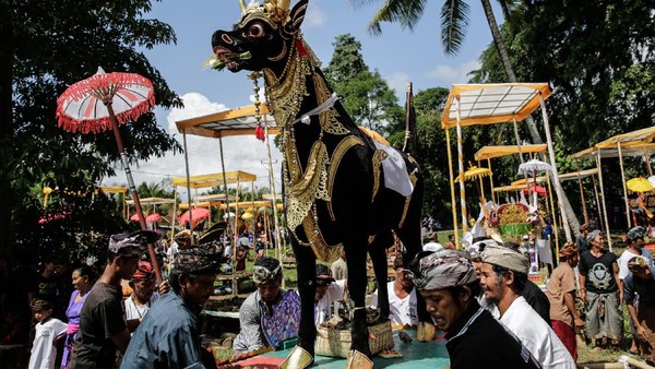 Mayoritas warga Hindu di pulau Bali melakukan upacara Ngaben saat orang meninggal, walaupun ada beberapa tidak melaksanakan upacara Ngaben seperti pada penduduk Bali Aga contohnya desa Tenganan dan Trunyan. Agung Parameswara/Getty Images   