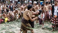 Ritual adat Bali ini digelar sebagai penghormatan atas Dewa Indra yang terkenal sebagai dewa perang dalam kepercayaan Hindu. Setelah peperangan menggunakan daun pandan ini digelar, para partisipan akan dirawat dan didoakan oleh orang yang dituakan agar mereka tidak merasakan sakit. Putu Sayoga/Getty Images  