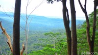Agar bisa mendapat pemandangan yang eksotis, pengunjung sebaiknya datang di pagi buta agar bisa menyaksikan matahari terbit dan gumpalan kabut yang masih terjebak di lembah bukit. Penampakan itulah yang membuat warga menyebut spot ini sebagai bukit di atas awan. 