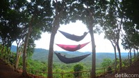 Pengunjung umumnya langsung menepi ke mulut tebing untuk berfoto dengan latar kontur gunung yang hijau dan langit pagi yang kemerahan. Ada yang bersantai di hammock juga. 