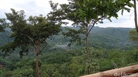 Di Pangandaran terdapat kawasan wisata bukit yang sangat menawan. Kawasan ini bernama Bukit Panenjoan. Lokasinya berada di Dusun Panenjoan, Desa Kersaratu, Kecamatan Sidamulih, Kabupaten Pangandaran.