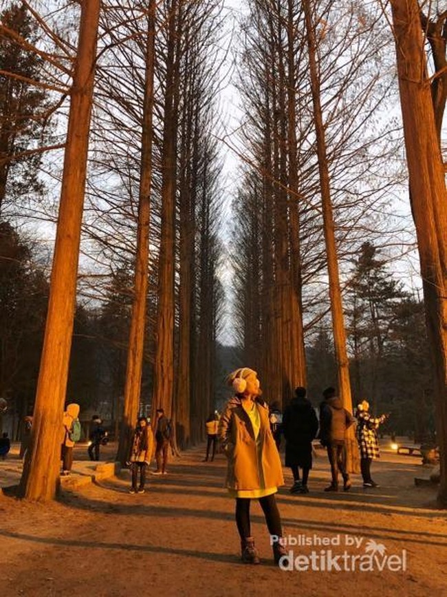 10 Destinasi Wajib Saat Liburan ke Korea Selatan