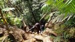 10 Tips Mendaki Gunung Salak yang Aman dan Nyaman