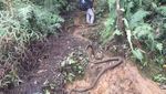 10 Tips Mendaki Gunung Salak yang Aman dan Nyaman