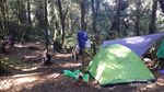 10 Tips Mendaki Gunung Salak yang Aman dan Nyaman
