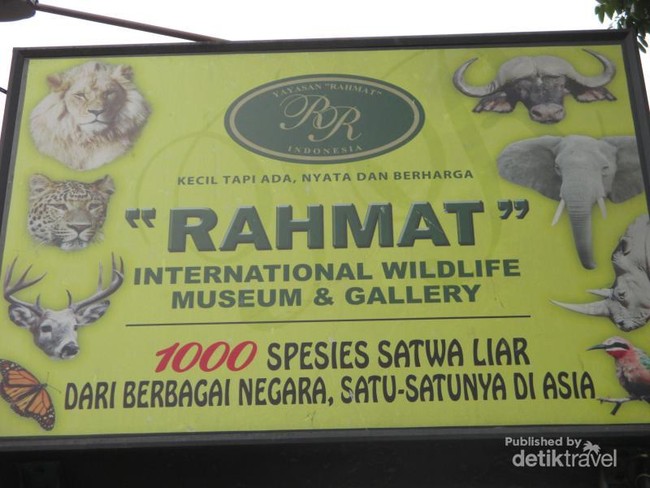 1.000 Satwa dari Berbagai Negara Ada di Museum Rahmat, Medan