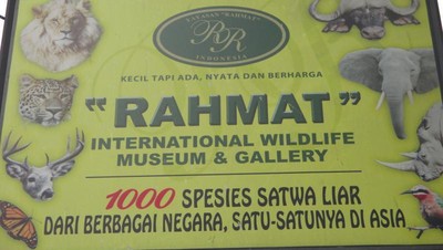 1.000 Satwa dari Berbagai Negara Ada di Museum Rahmat, Medan