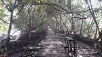 5 Hal Seru yang Ada di Taman Wisata Alam Mangrove Jakarta