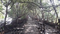 Taman Wisata Alam Mangrove Jakarta