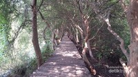 Taman Wisata Alam Mangrove Jakarta