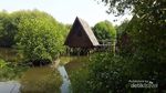 5 Hal Seru yang Ada di Taman Wisata Alam Mangrove Jakarta