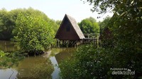 Taman Wisata Alam Mangrove Jakarta