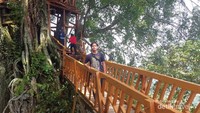 Jembatan gantung di rumah pohon Curug Ciherang