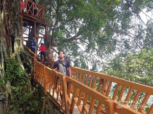 6 Kegiatan Asyik di Curug Ciherang Bogor