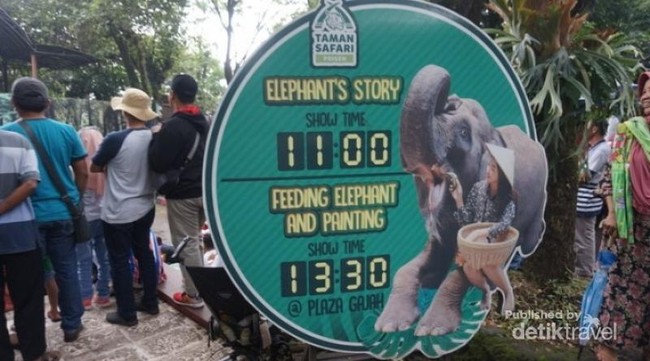 6 Show Wajib Saat Plesir ke Taman Safari II Prigen